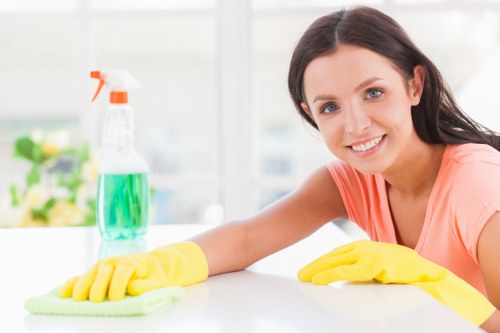Deep cleaning service for a property in Canary Wharf