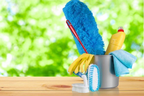 Deep cleaning service for a modern Canary Wharf apartment interior