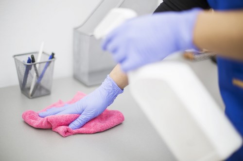 Professional oven cleaning service for Canary Wharf homes and apartments