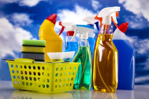 Professional end of tenancy cleaning in a Canary Wharf apartment