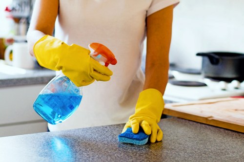 Professional oven cleaning for a Canary Wharf apartment kitchen
