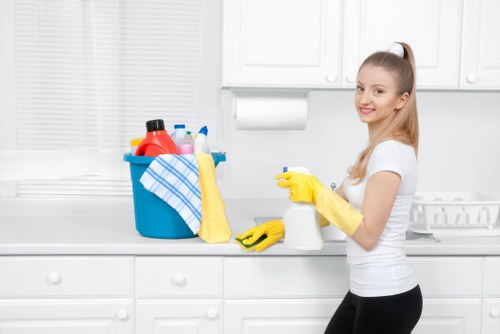 Housekeeping service for a flat near Canary Wharf