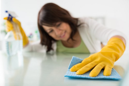 Detailed builders clean for kitchen and living space in Canary Wharf