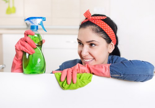 Professional domestic cleaner tidying a contemporary kitchen in Canary Wharf