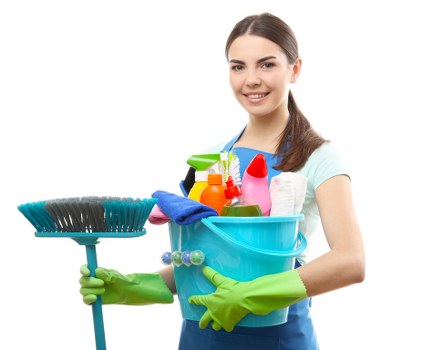 Domestic cleaning service for a bright flat in Canary Wharf