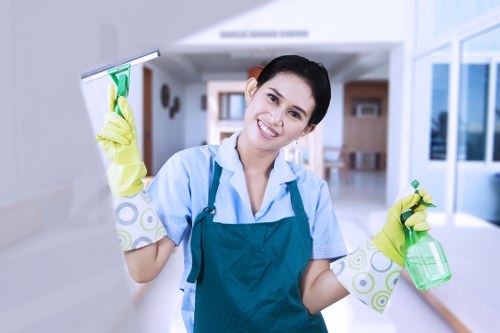 Professional cleaning service for Canary Wharf homes and offices