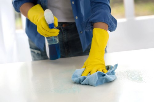 Cleaner wearing PPE during a deep cleaning service in Canary Wharf